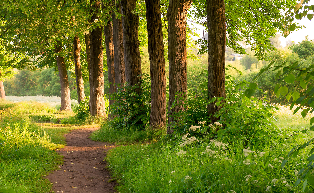 특권 같은 힐링 인프라